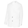 Chaqueta sala monza 04147