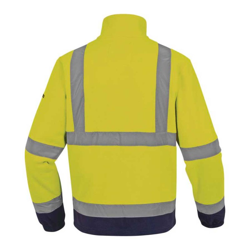 Polar delta plus a.v. zenith