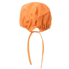 GORRO SANITARIO VELILLA 534001