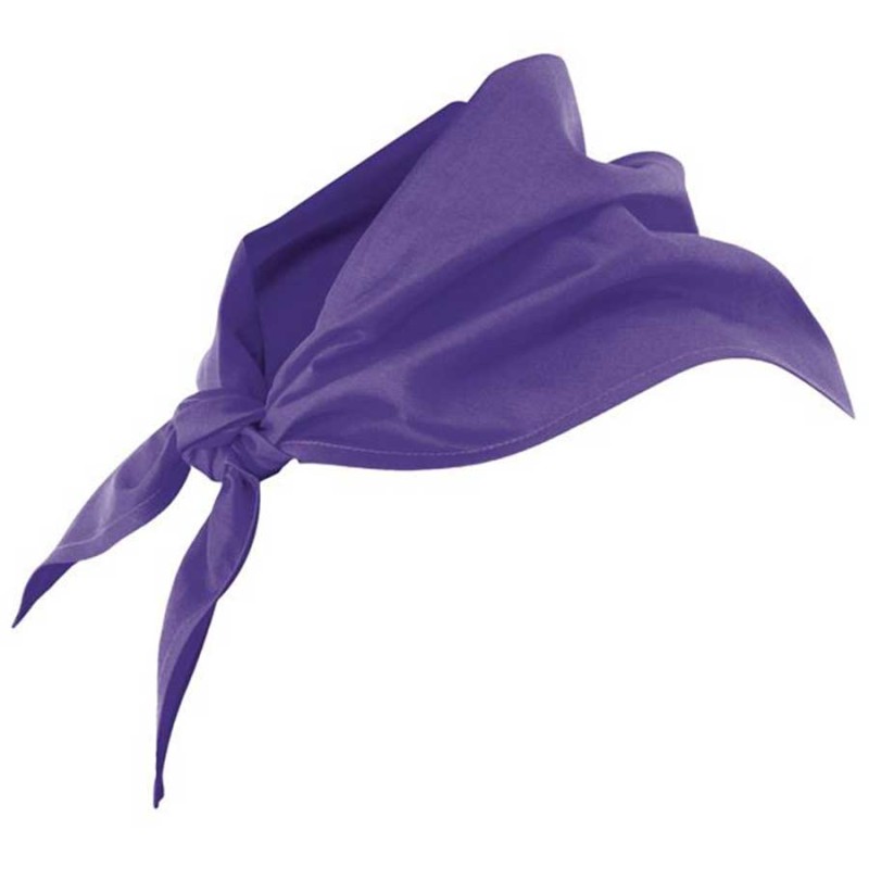 Pañuelo cocina velilla 404003