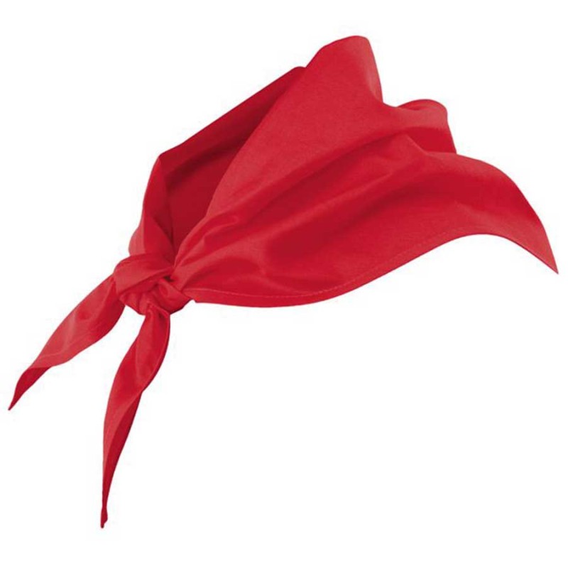 Pañuelo cocina velilla 404003