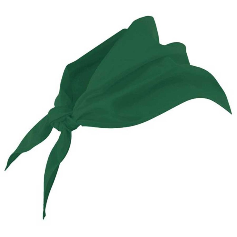 Pañuelo cocina velilla 404003