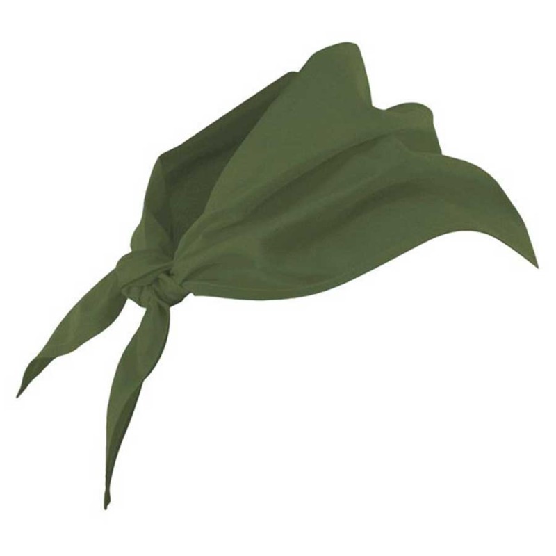 Pañuelo cocina velilla 404003