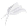 Pañuelo cocina velilla 404003