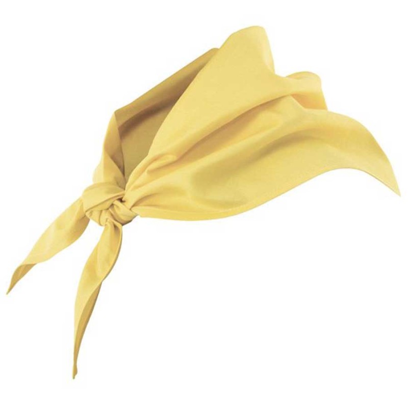 Pañuelo cocina velilla 404003