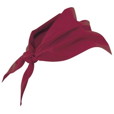 Pañuelo Cocina Velilla 404003