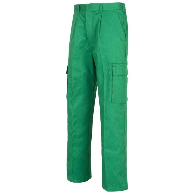 Pantalon workteam b1403