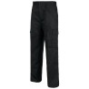Pantalon workteam b1403