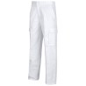 Pantalon workteam b1403
