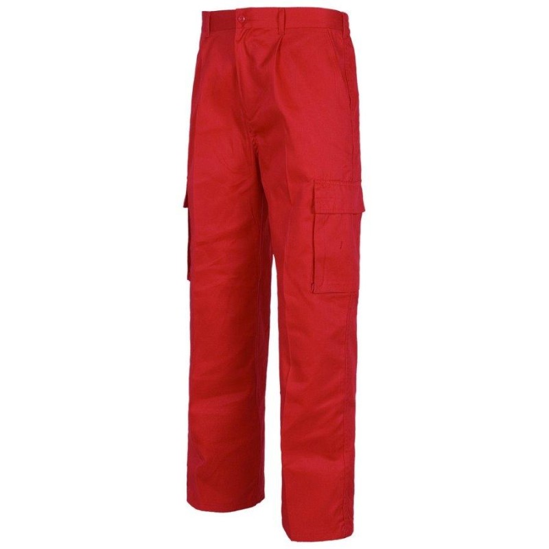 Pantalon workteam b1403