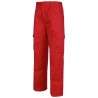Pantalon workteam b1403
