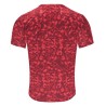Camiseta roly assen 0201