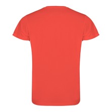 CAMISETA TECNICA ROLY CAMIMERA