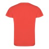 Camiseta tecnica roly camimera