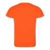 Camiseta tecnica roly camimera
