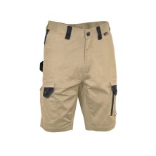 BERMUDA COFRA KEDIRI V619