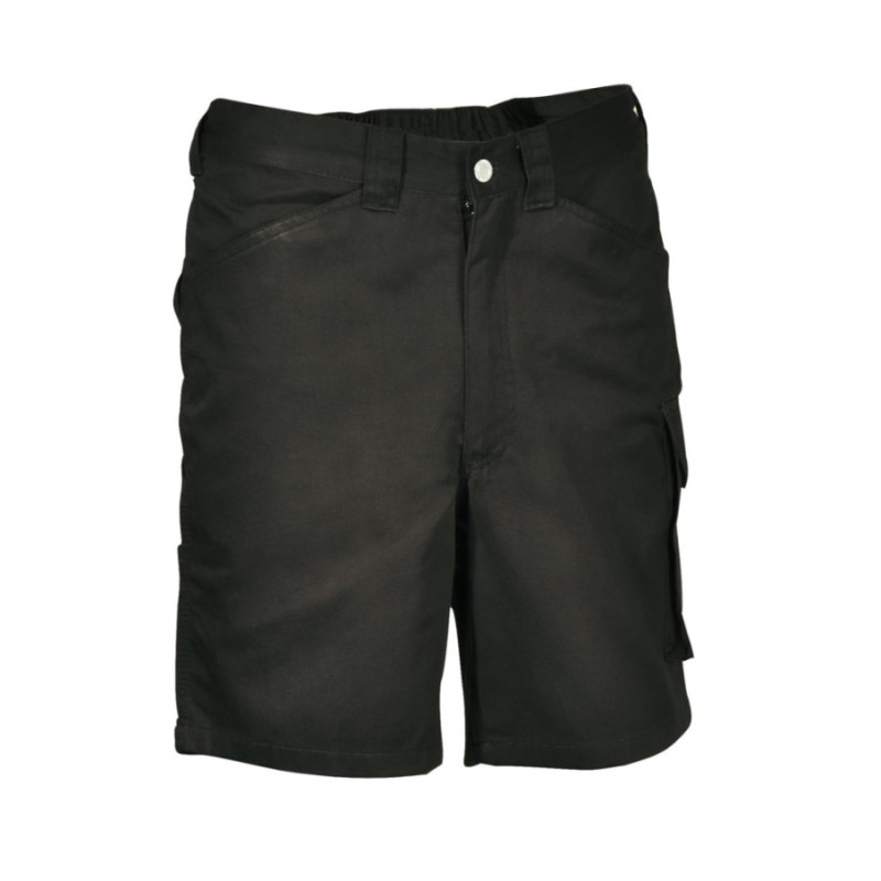 Bermuda cofra tunisi v287