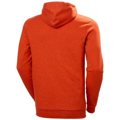 Sudadera Helly Hansen Graphic Hoodie 79264