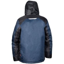 cazadora cofra nuvuk v576 en azul marino/negro