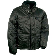CHAQUETA ACOLCHADA COFRA ESSEN V095