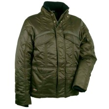 CHAQUETA ACOLCHADA COFRA ESSEN V095