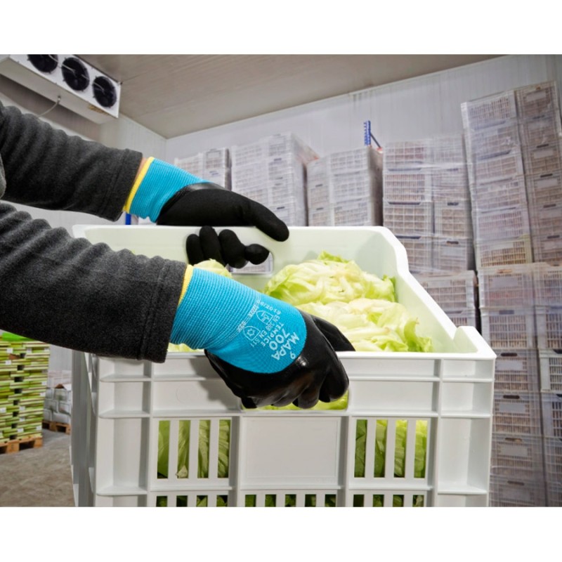 Guante mapa tempice 700