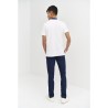 Polo m/c regular fit monza 03023
