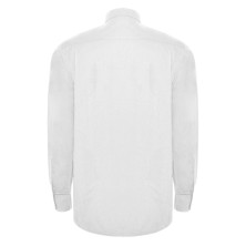 CAMISA M/L ROLY AIFOS 5504