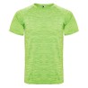 Camiseta roly austin 6654