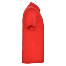 POLO HOMBRE ROLY MONZHA