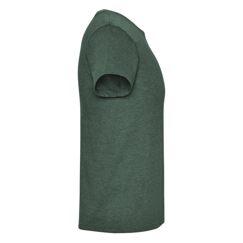 Camiseta vigore roly fox 6660