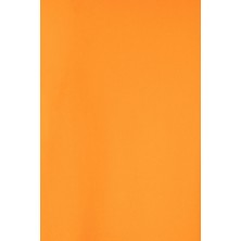 POLO A.V. MANGA LARGA VELILLA 305514