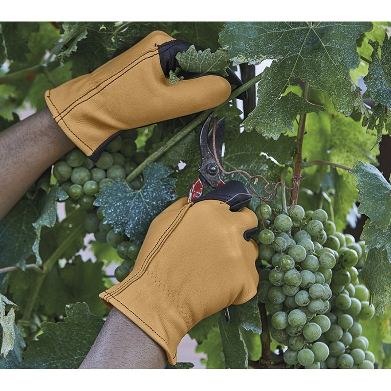 Guante juba garden h210m