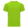 Camiseta roly monaco 6401
