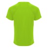 Camiseta roly monaco 6401