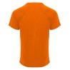 Camiseta roly monaco 6401