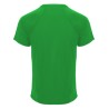 Camiseta roly monaco 6401