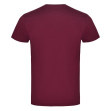 CAMISETA M/C ROLY BRACO