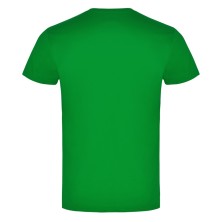 CAMISETA M/C ROLY BRACO