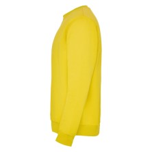 sudadera roly clasica 1070 en verde aventura