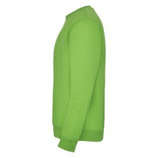 sudadera roly clasica 1070 en verde aventura