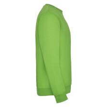 sudadera roly clasica 1070 en verde aventura