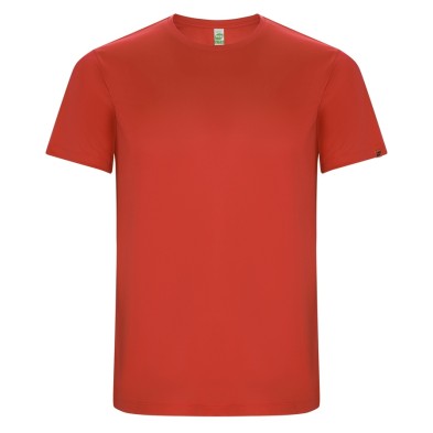Camiseta Roly Imola 0427
