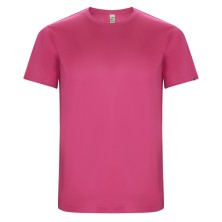 CAMISETA ROLY IMOLA 0427