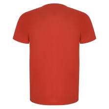 CAMISETA ROLY IMOLA 0427