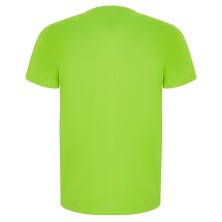 CAMISETA ROLY IMOLA 0427