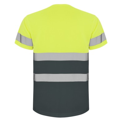 Camiseta A.V. Roly Delta 9310