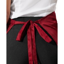 DELANTAL ROLY BENOIT 9125