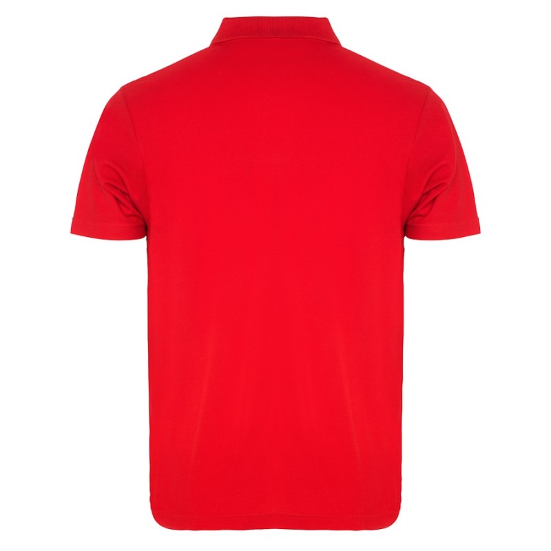 Polo roly austral 6632