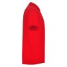 Polo roly austral 6632